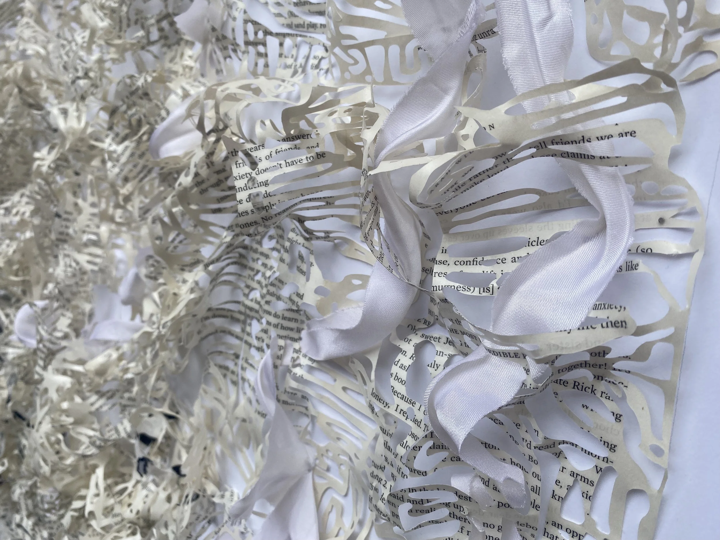 DETAIL 2 now language may loosen itself to speak.jpg