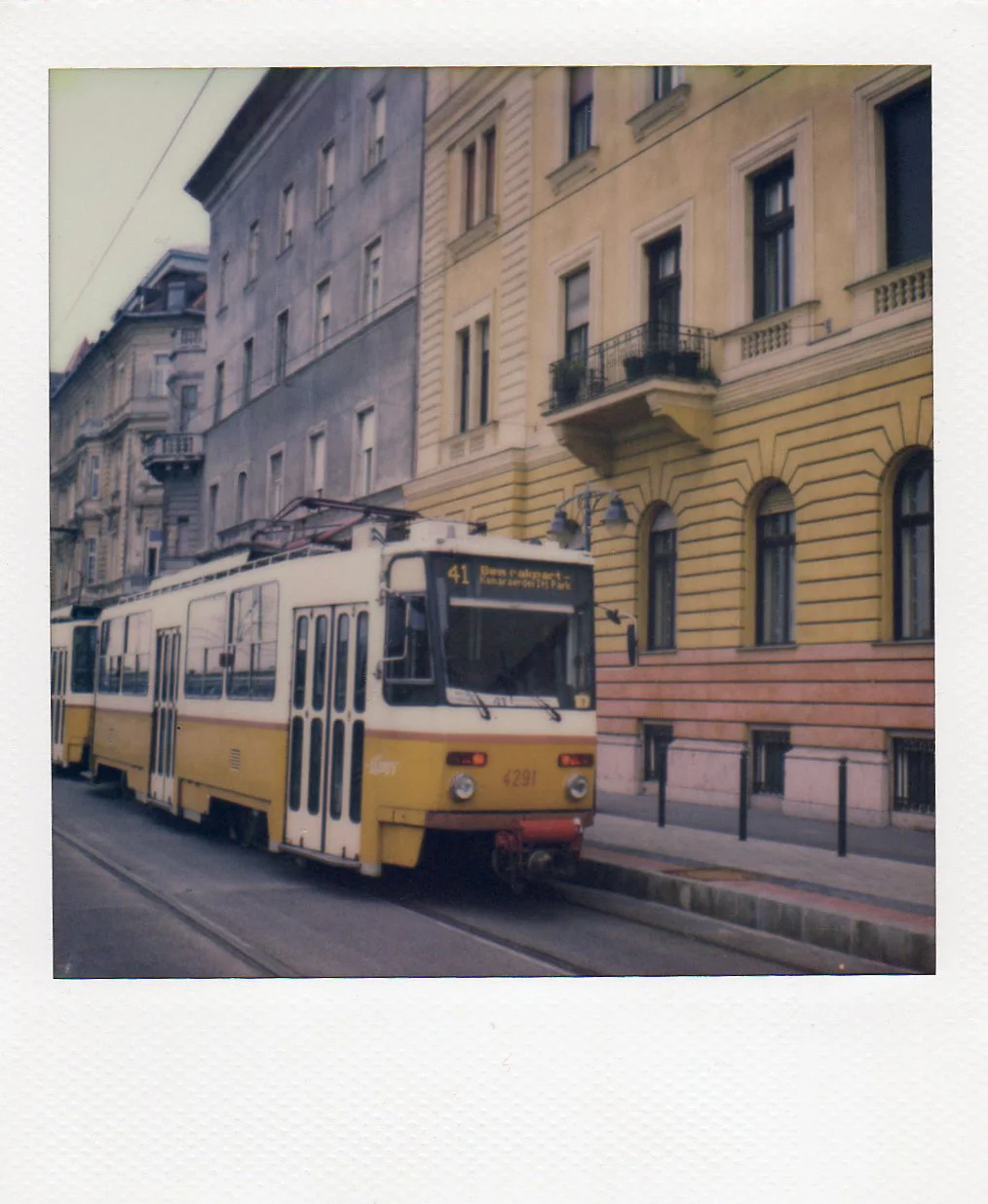 Polaroid2016264.jpg