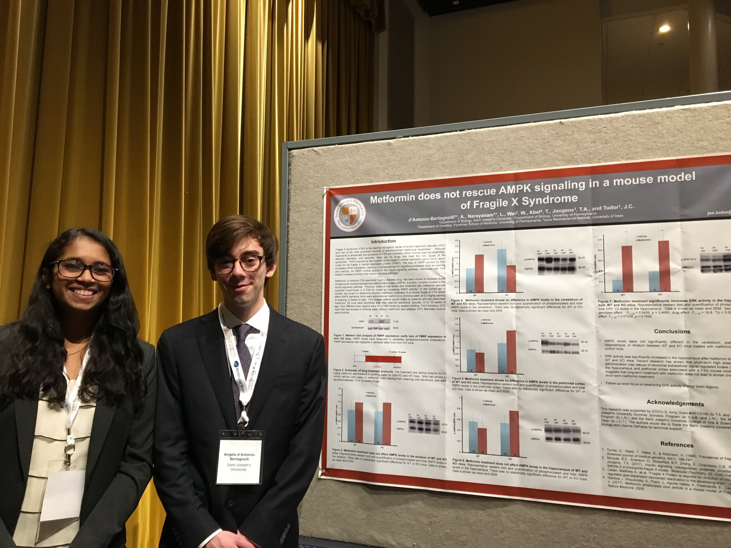 Molecular and Cellular Cognition Society 2018 poster presentation