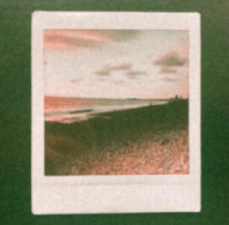 &ldquo;only after the winter does the flower bloom&rdquo; - unknown 
#raptureandreverie