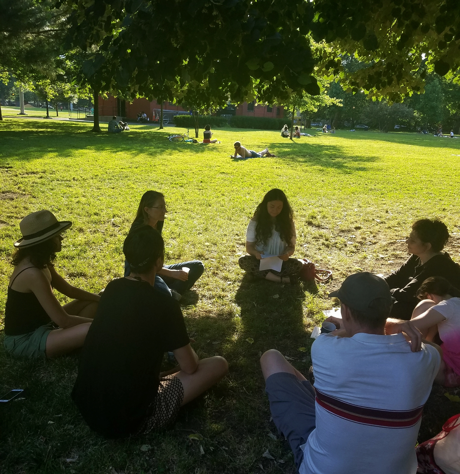 Tree meditation under a Linden