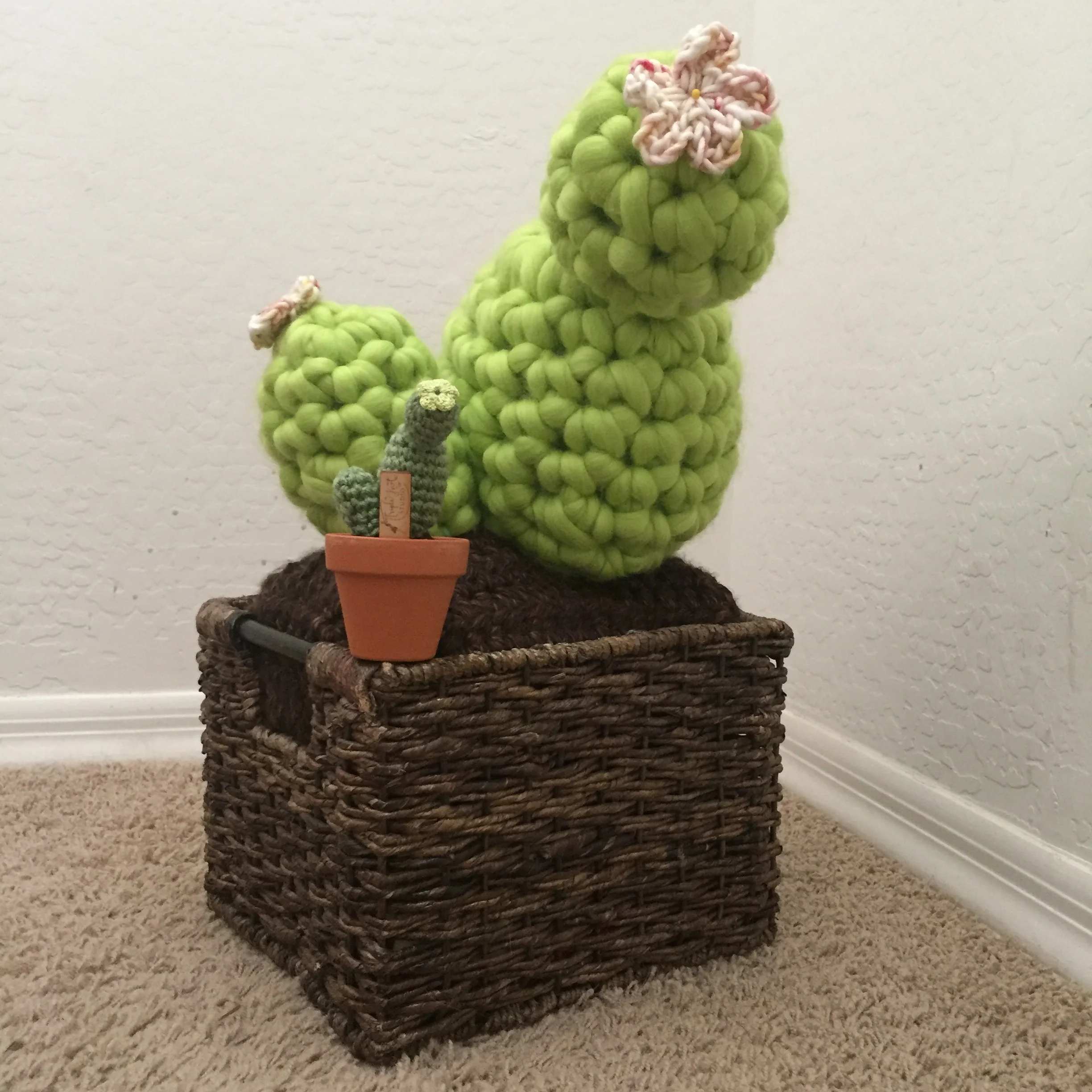 stephanieBigStitchMerinoCactus.jpeg