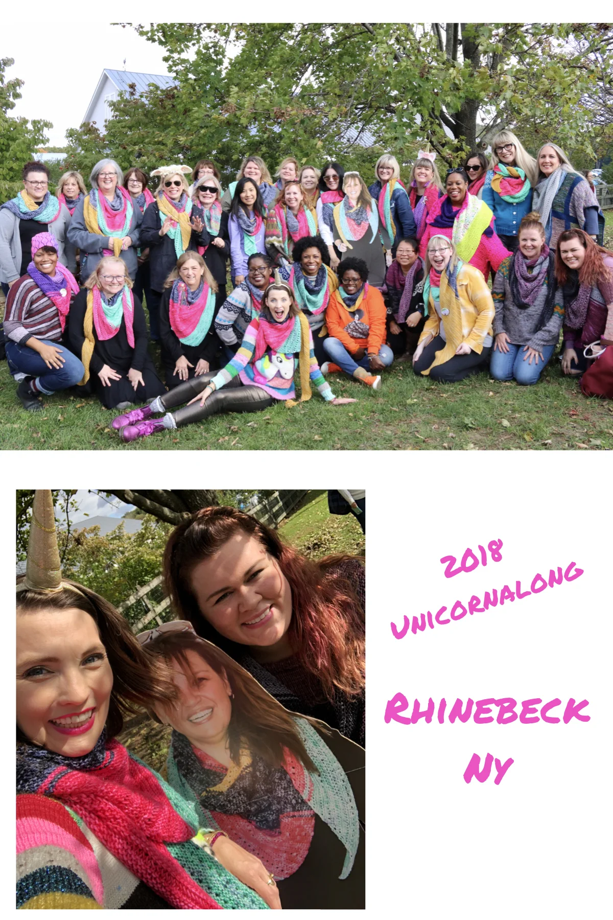 Unicornalong_At_NY_Sheep_and_wool_festival_Rhinebeck_2018_6.jpg
