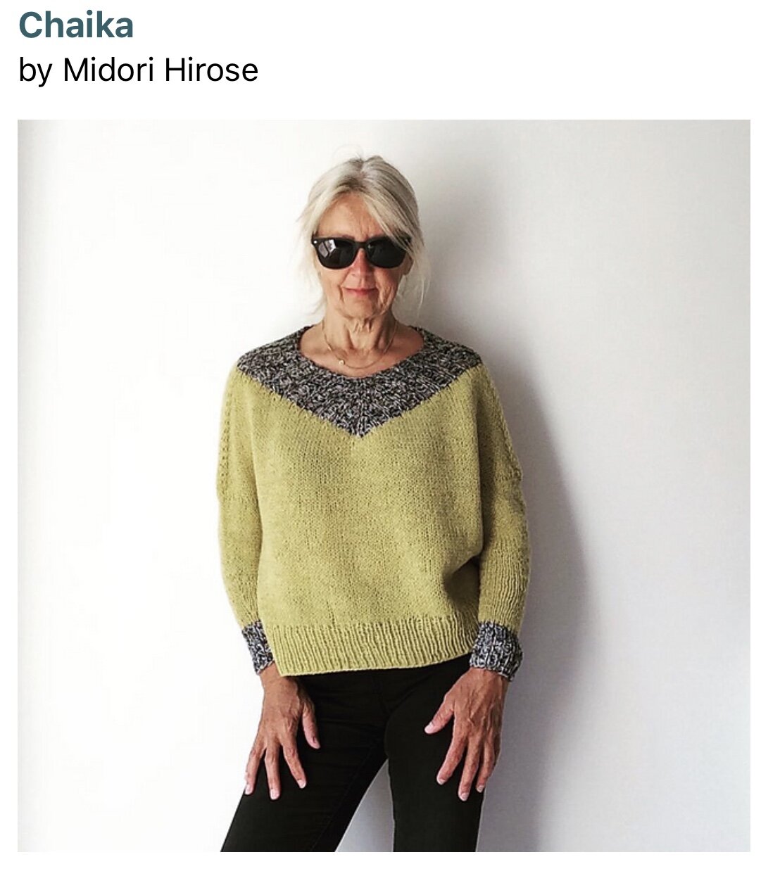 2020 Tell me About Your Rhinebeck Sweater Chicago 8.jpeg