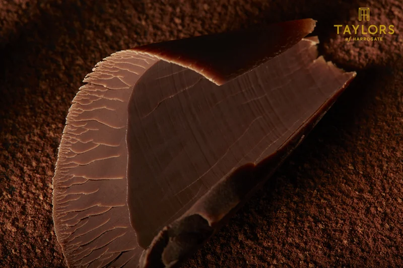 Chocolate curl.jpg