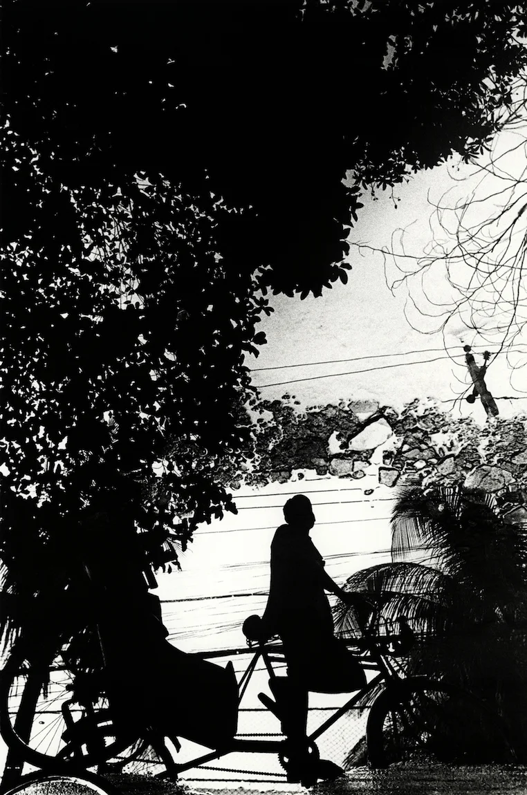 walter rothwell