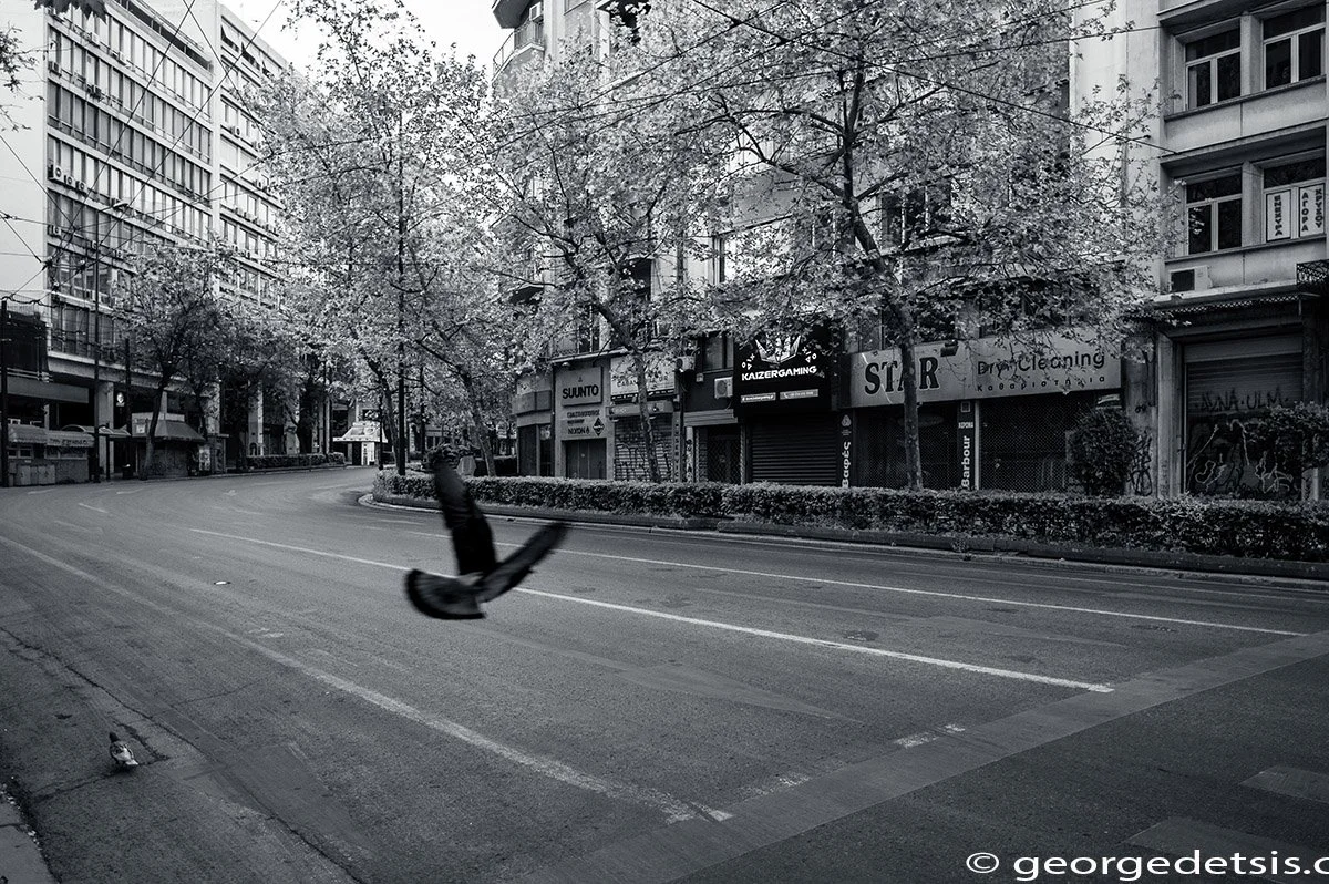 _GD19370edit copy 2.jpg