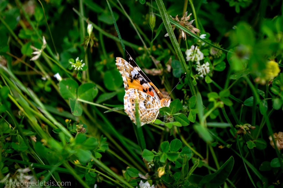 ZGD_7706.jpg
