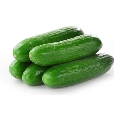 CUCUMBER.jpg