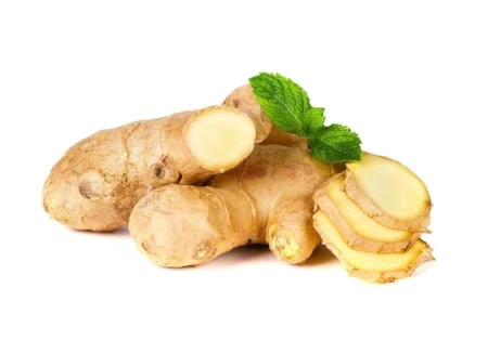 Ginger-1.jpg
