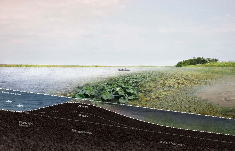 Visualization of sediment deposition after 20 years.