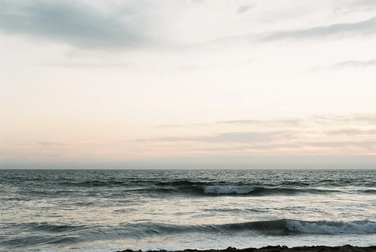 20160315-California 3.16_35mm_207.jpeg