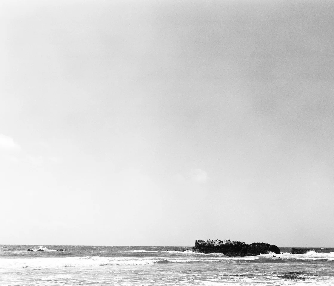 20160315-California 3.16_048.jpeg