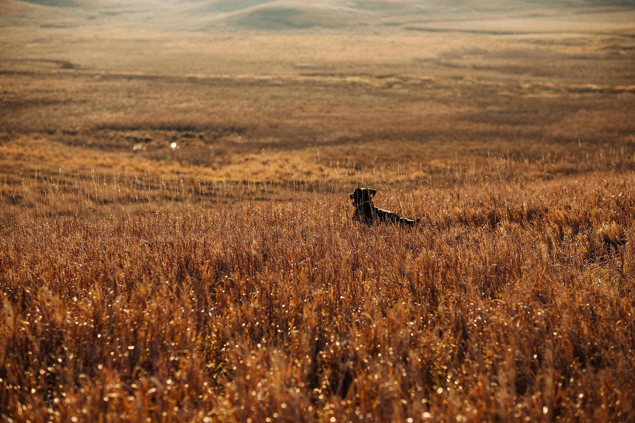 DSCF1807-Edit.jpg