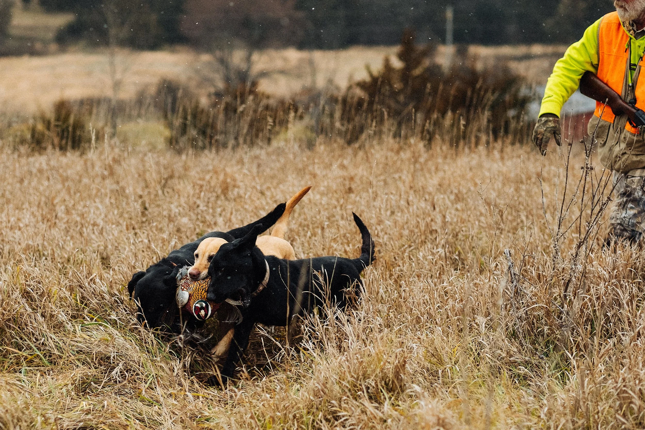 DSCF1907-Edit.jpg