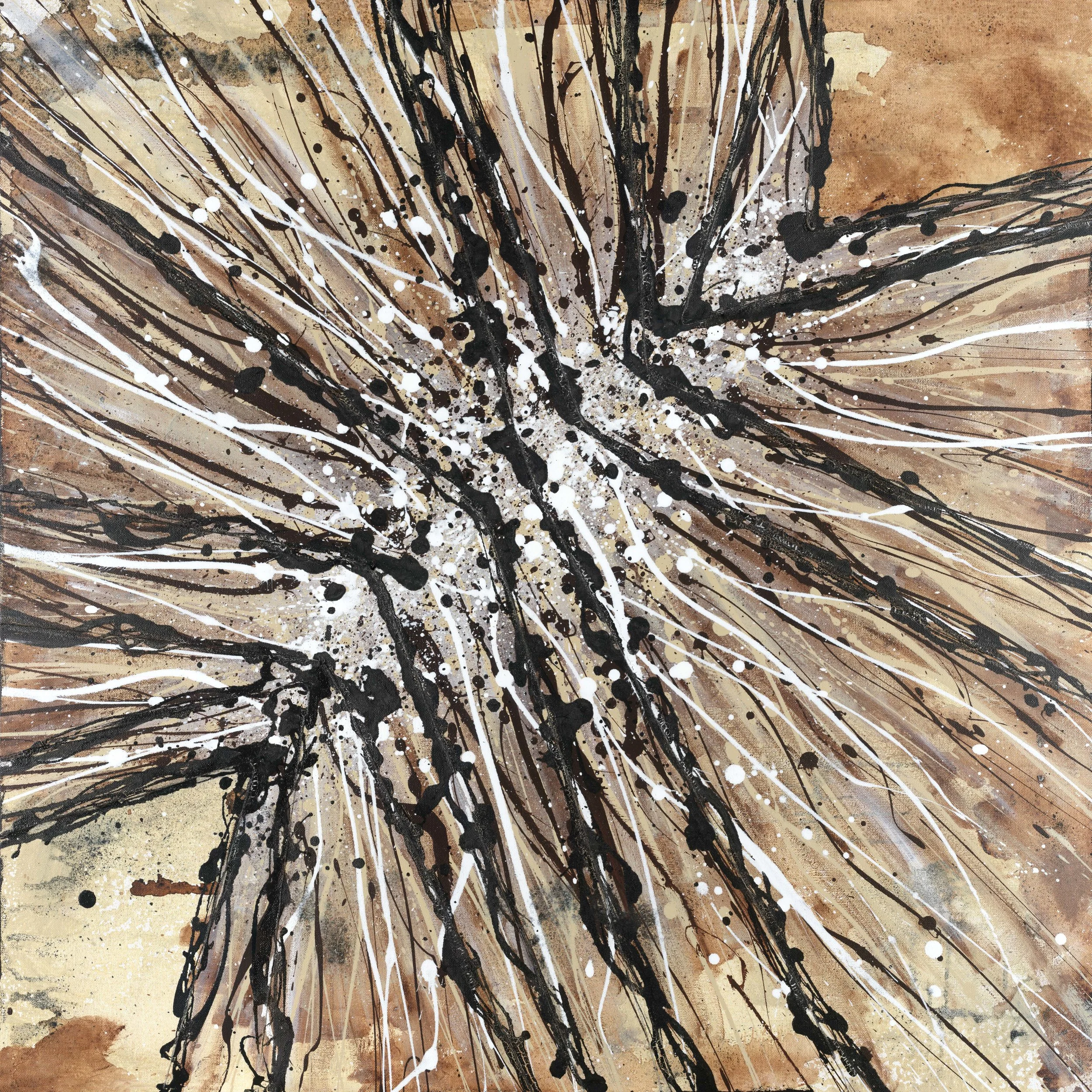 Untitled_Panorama 25_opt.jpg