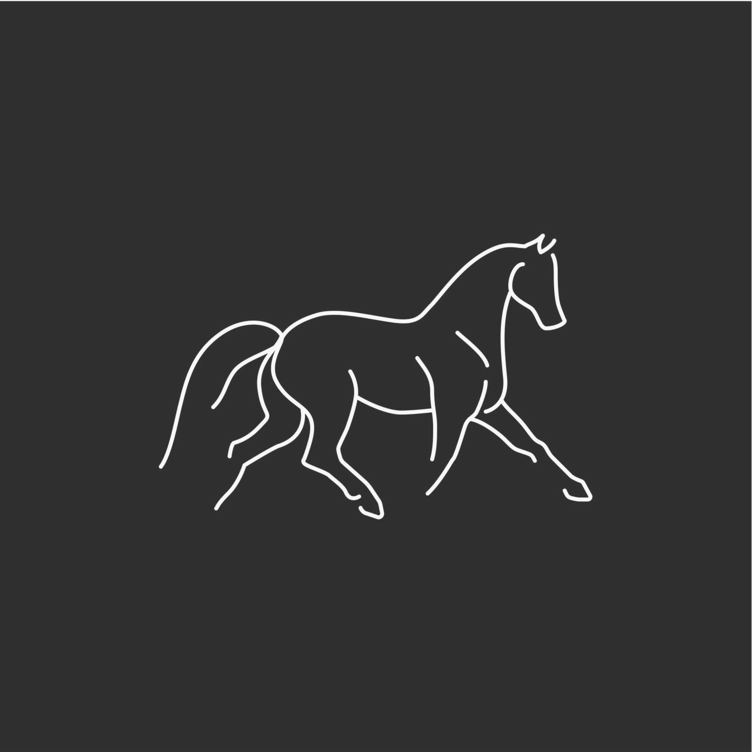 RC_squarespace_thumnails_vetassist-05-05.jpg