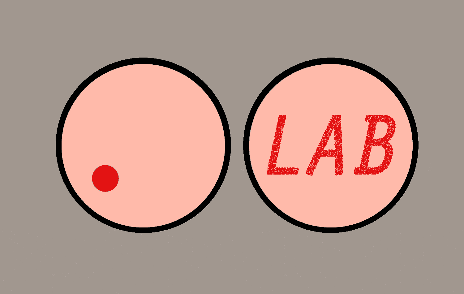 LAB-LAB-RR.gif