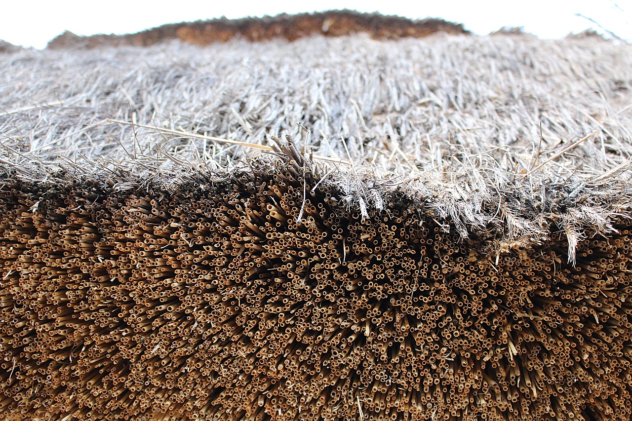 thatched-roof-671129_1280.jpg
