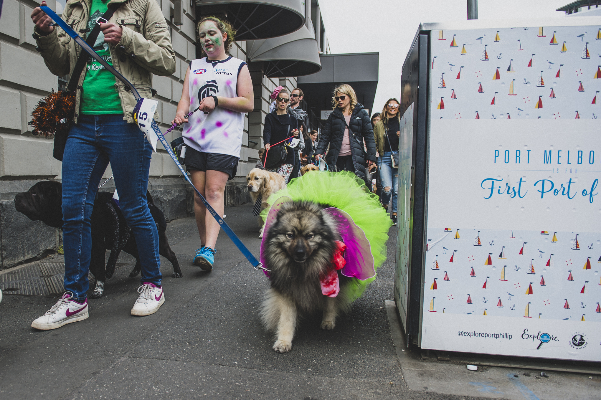 88HOWL2018.jpg