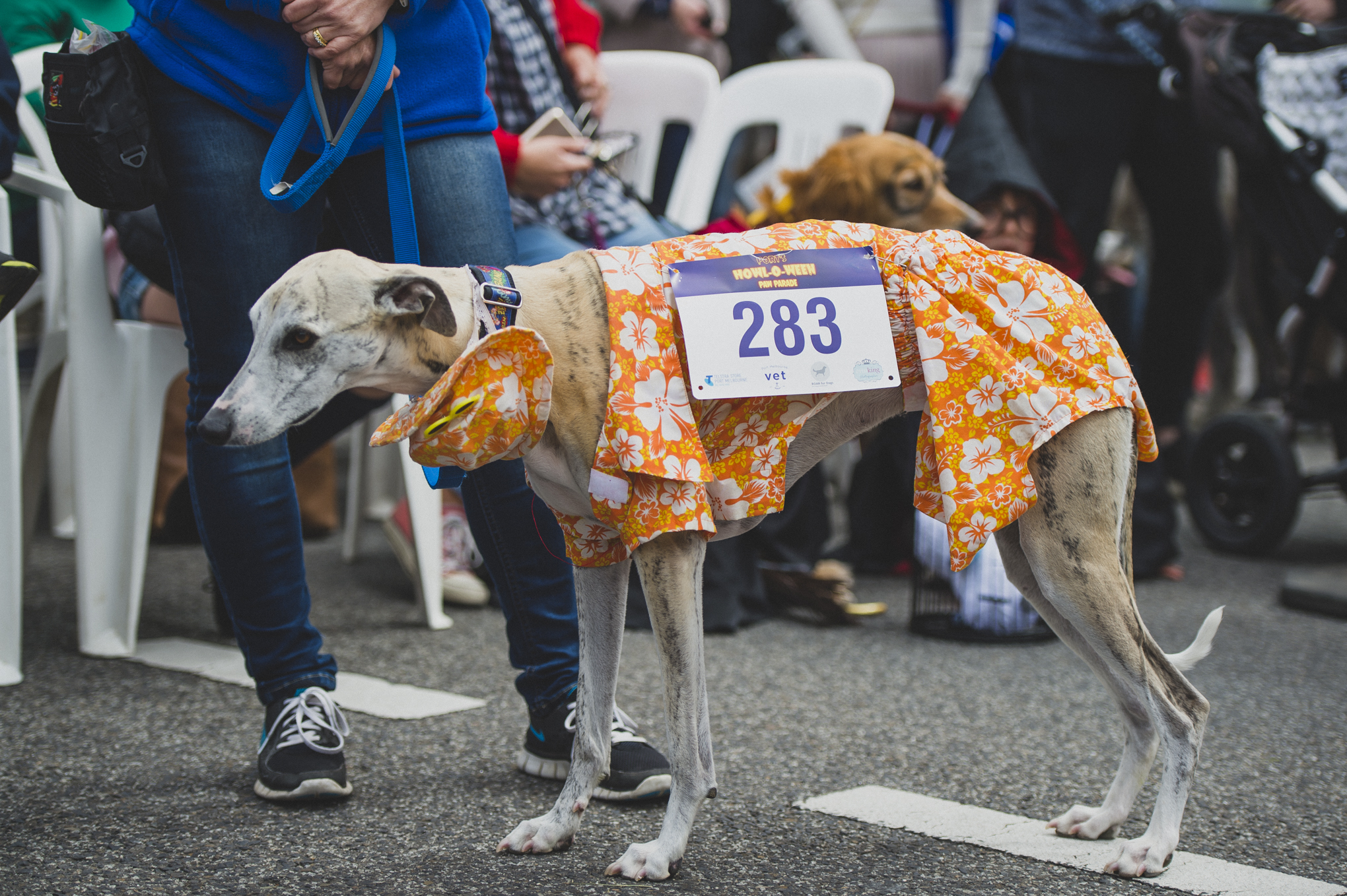 149HOWL2018.jpg