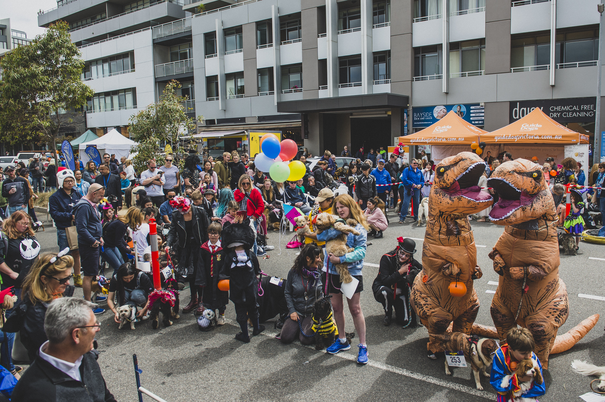171HOWL2018.jpg