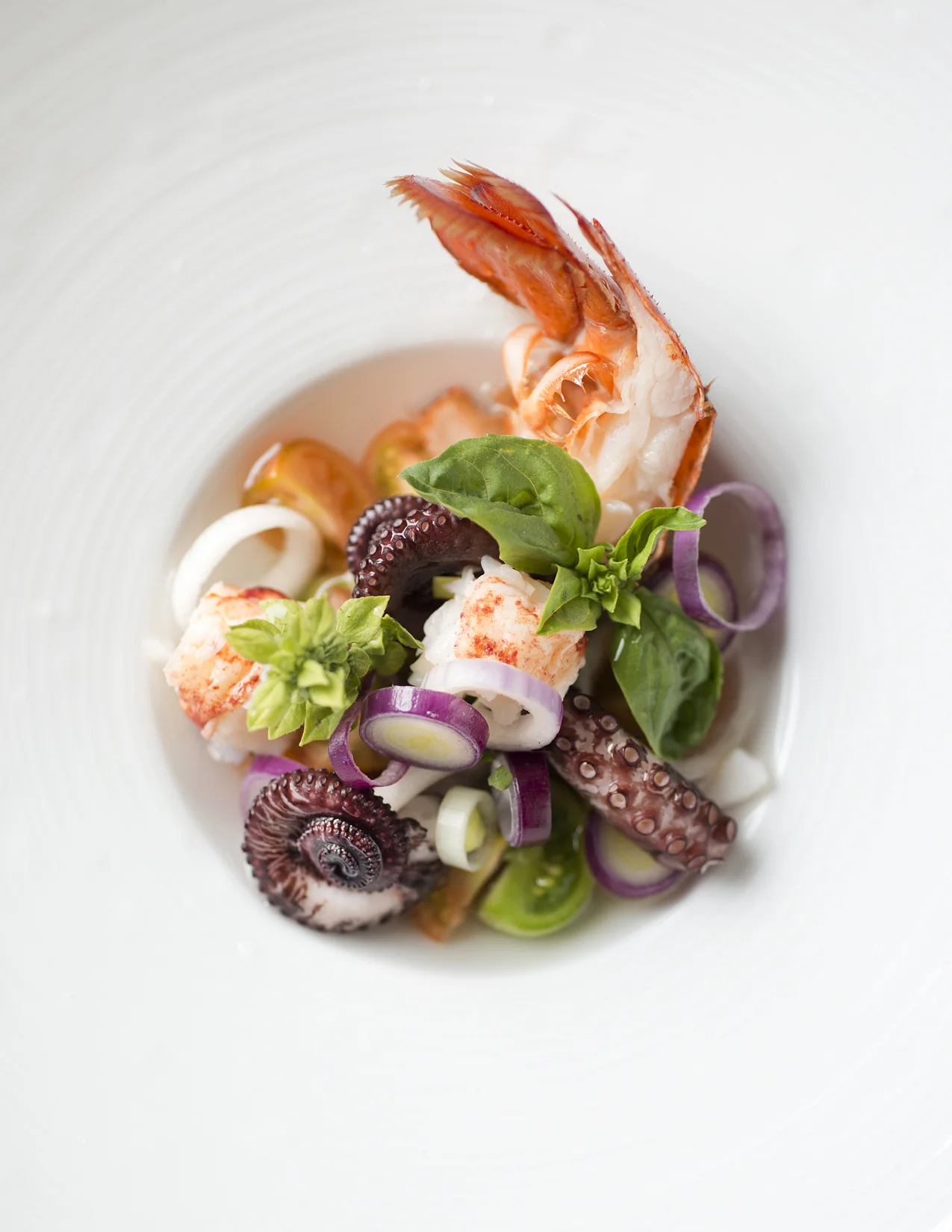 seafood+salad+merriam+restaurant+boston+photo