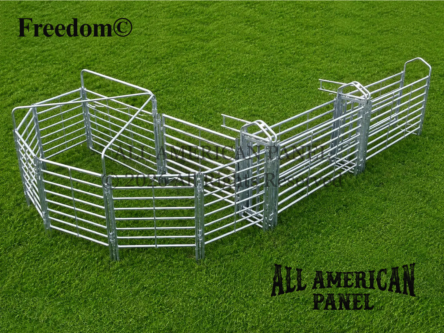 Freedom