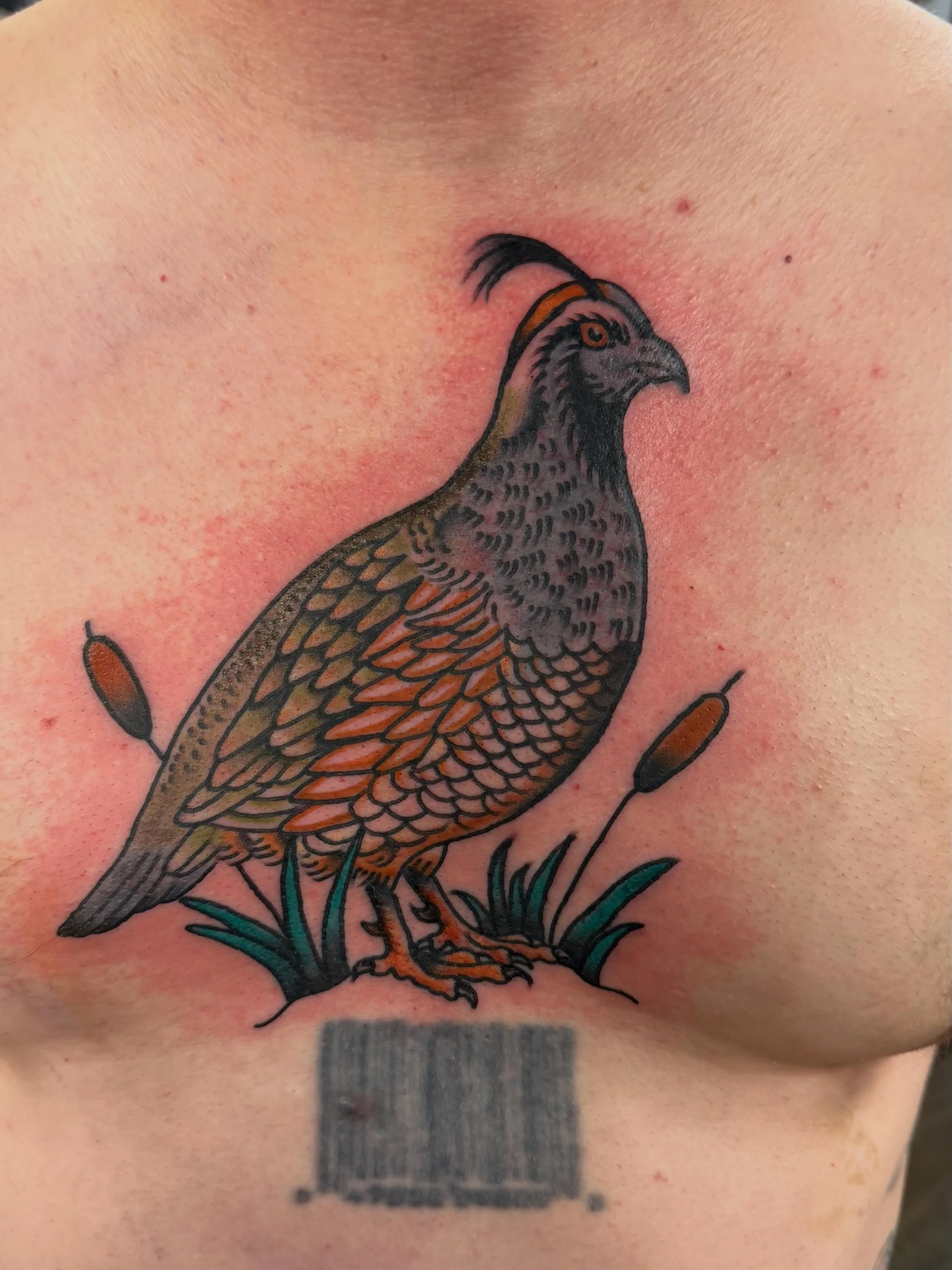 Booking fall months, dm me to get a spot. ❤️ 🩸 ❤️