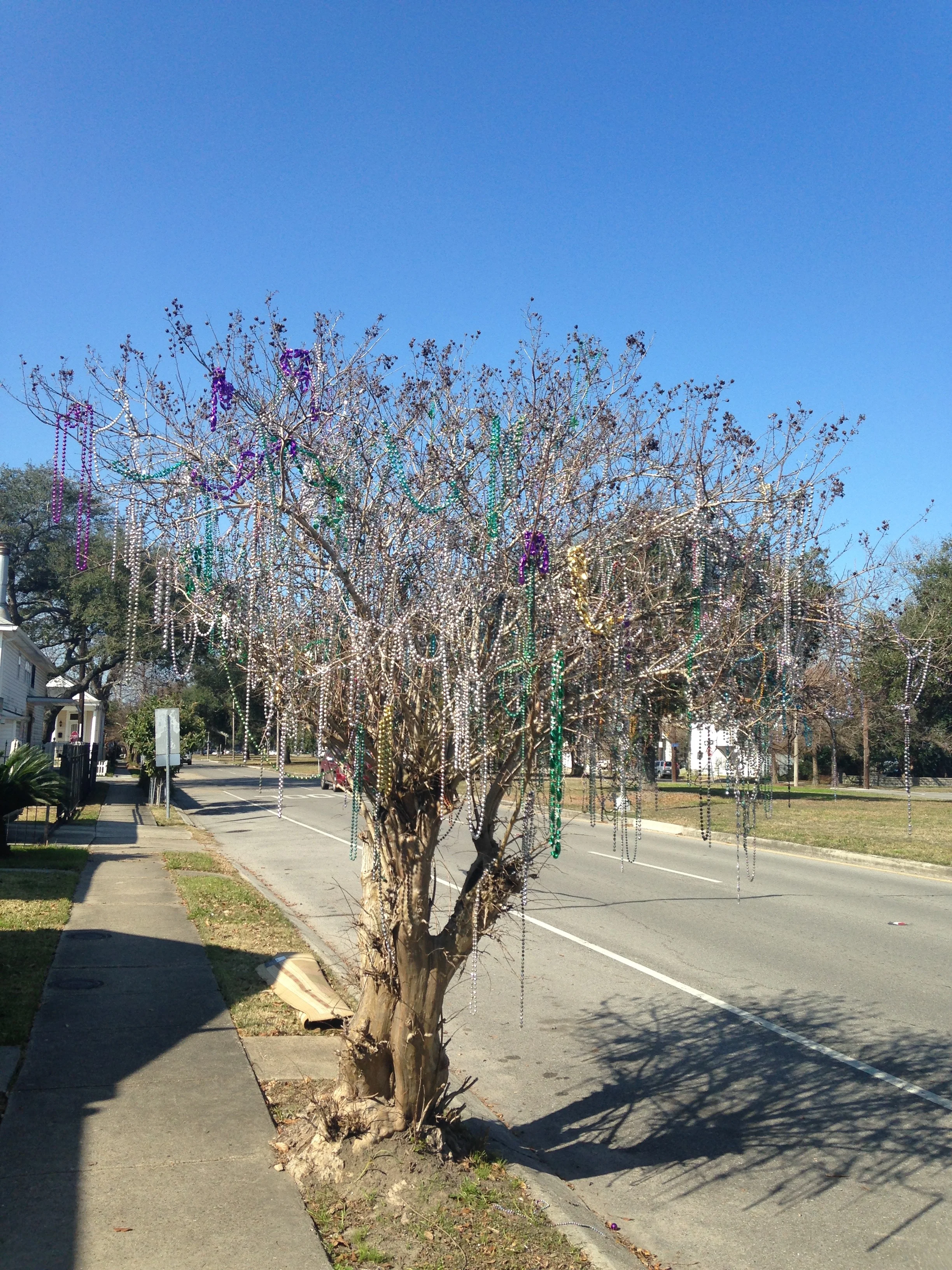 Ready for it's next round of beads!! Show us what you got, tree!