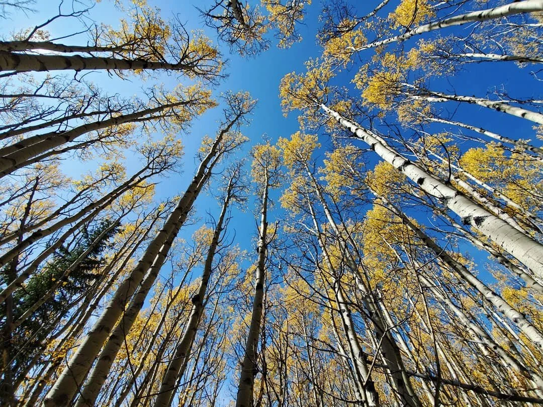Fall came quick to Colorado