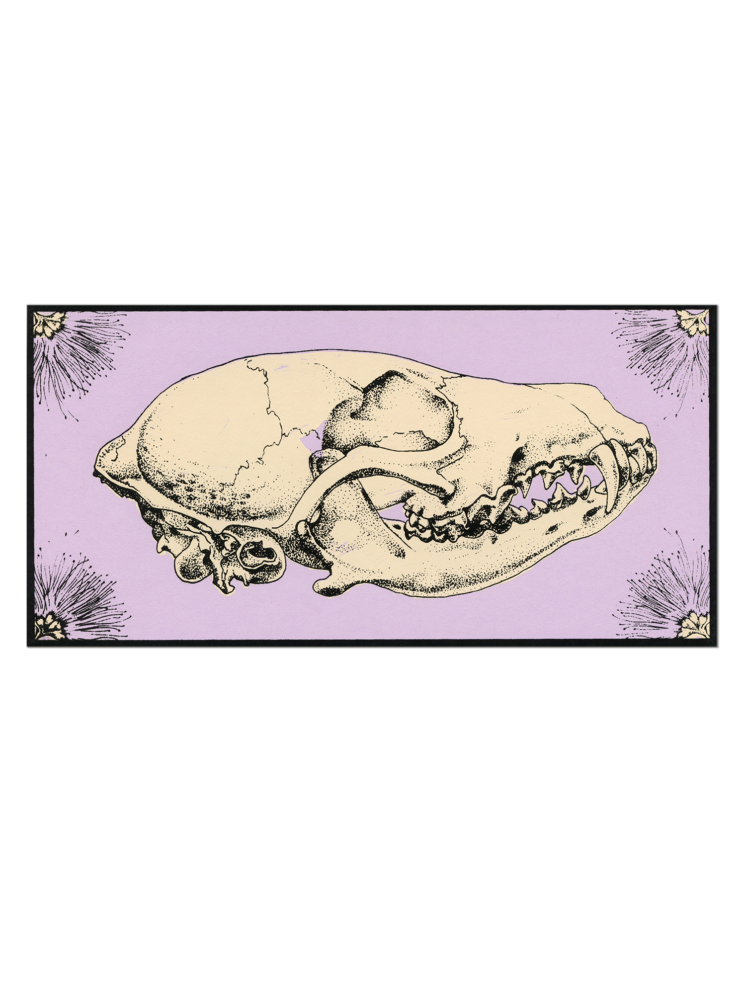 Coyote Mimosa Miniature Print