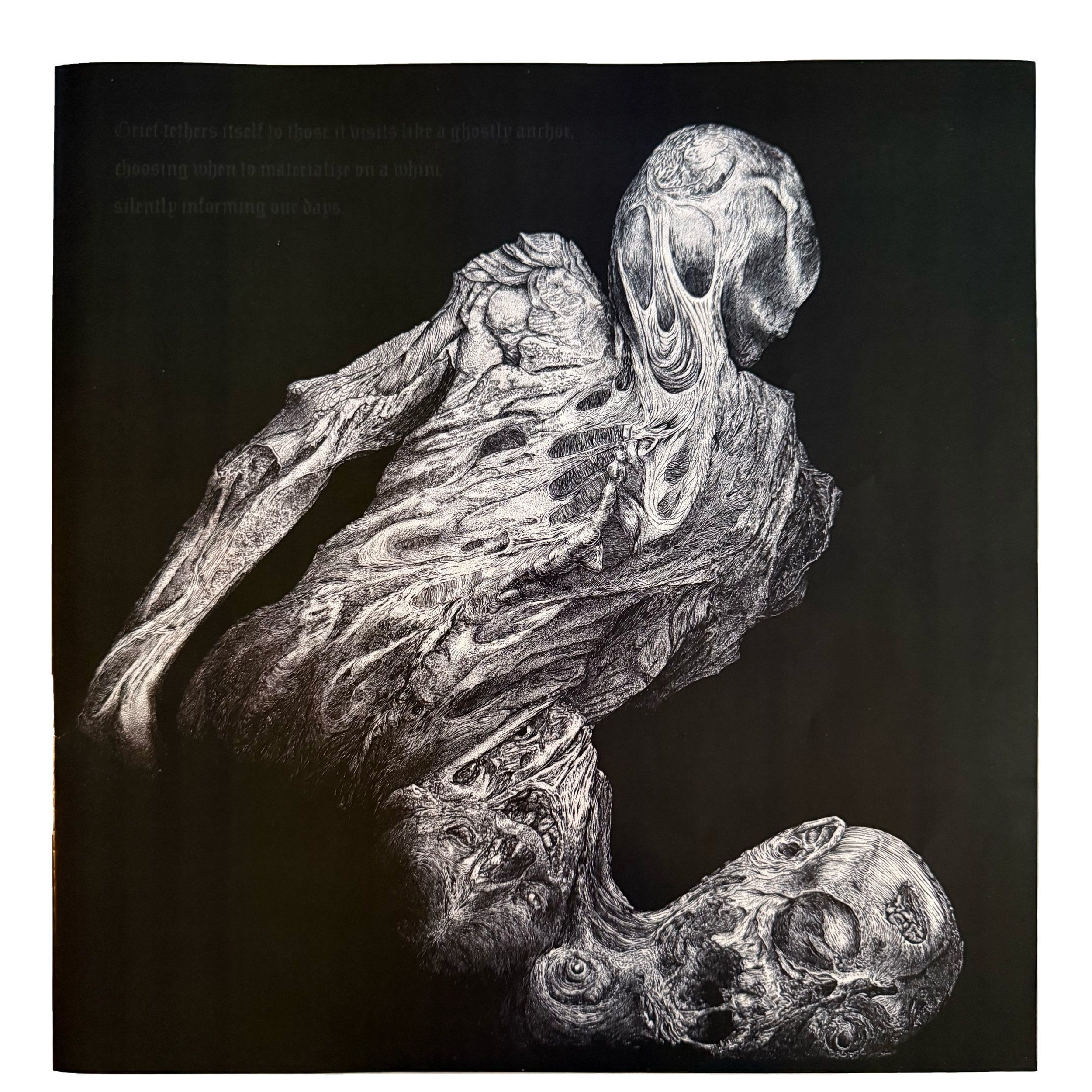 Grief Tethers | Digital illustration and album design for the "Grief Tethers" LP by Clot | 2024