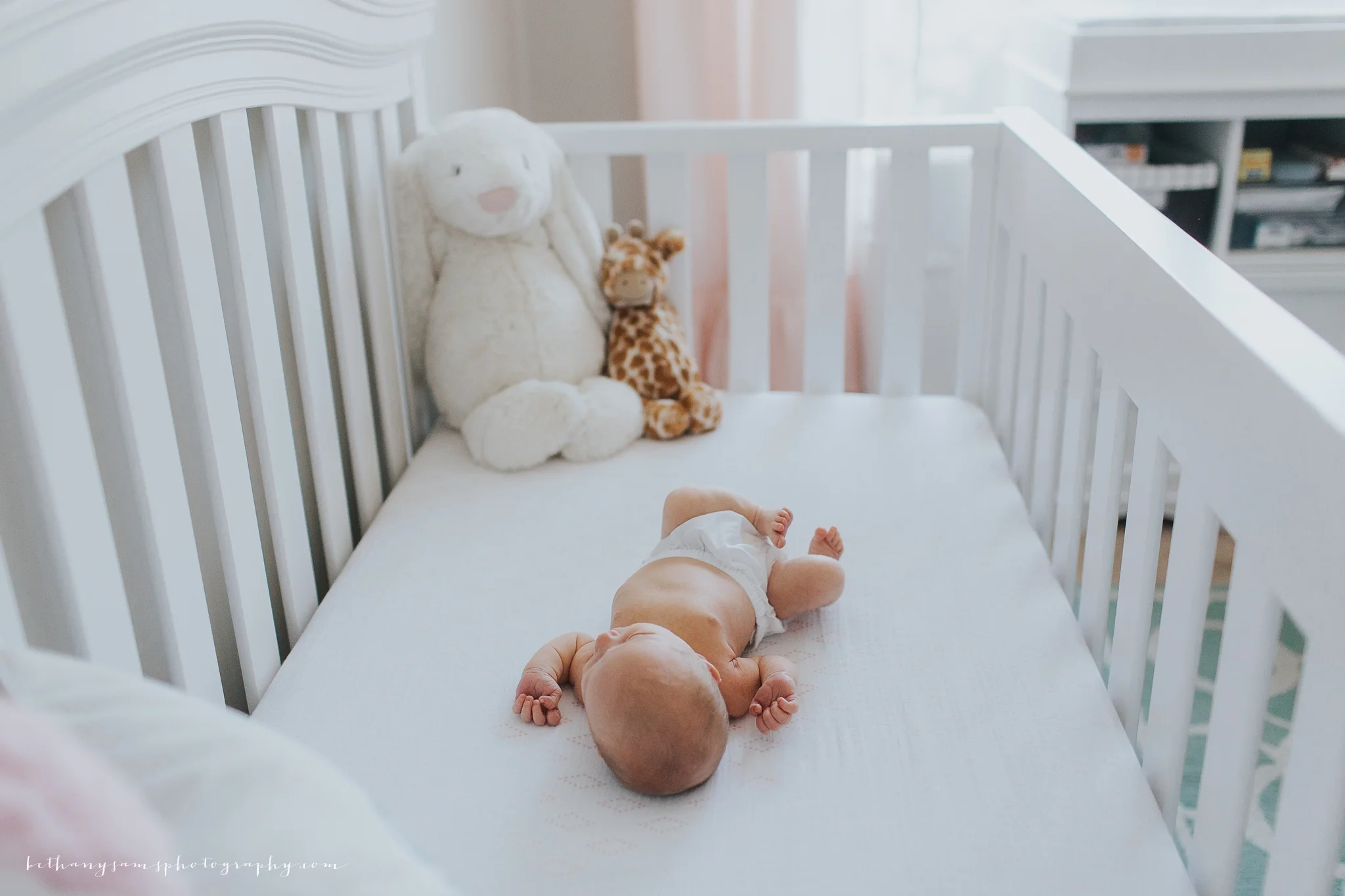 Birtsch Newborn >>> Knoxville Newborn Photographer
