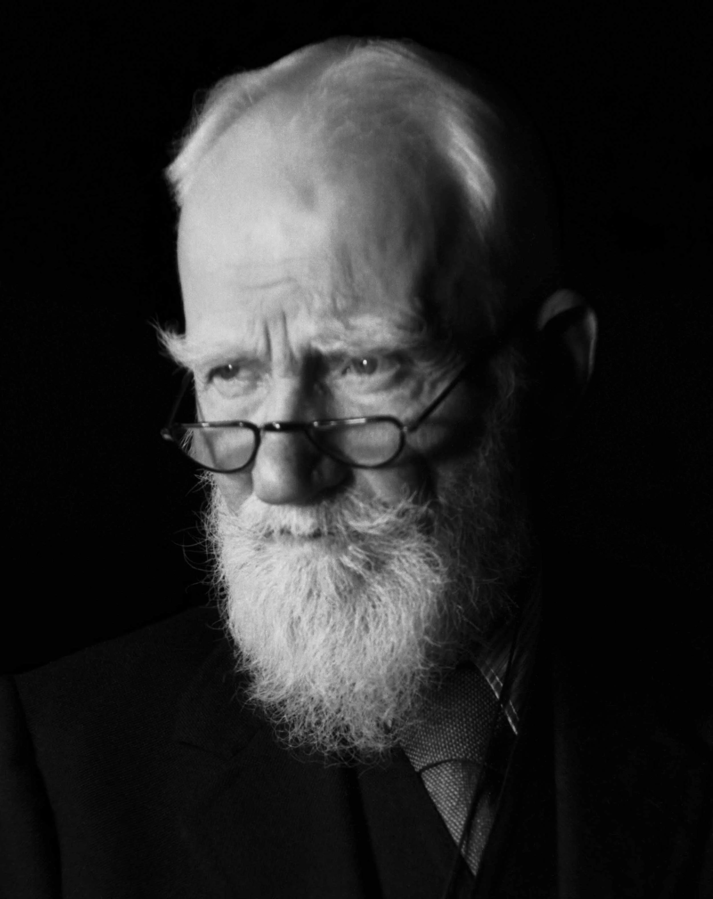shaw_8x10.jpg