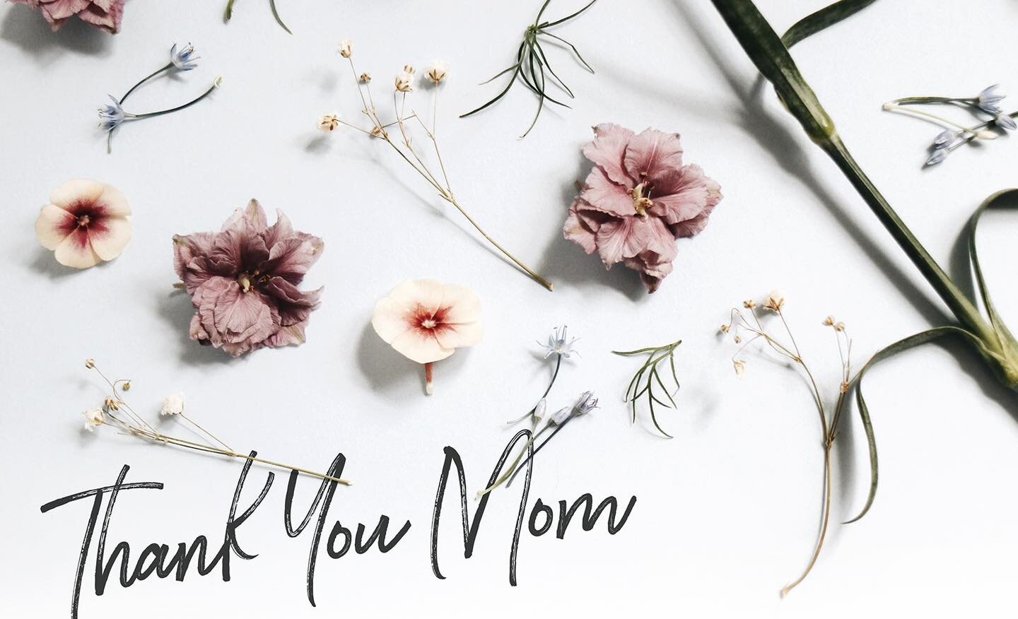 Happy Mother&rsquo;s Day! We are thankful for all the Mom&rsquo;s in our lives! 
Whether you&rsquo;re the birth mom, adoptive mom, dog mom, bonus mom etc. we wish you a wonderful day!