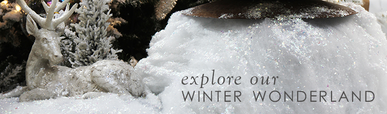 12-5_winter-wonderland.jpg