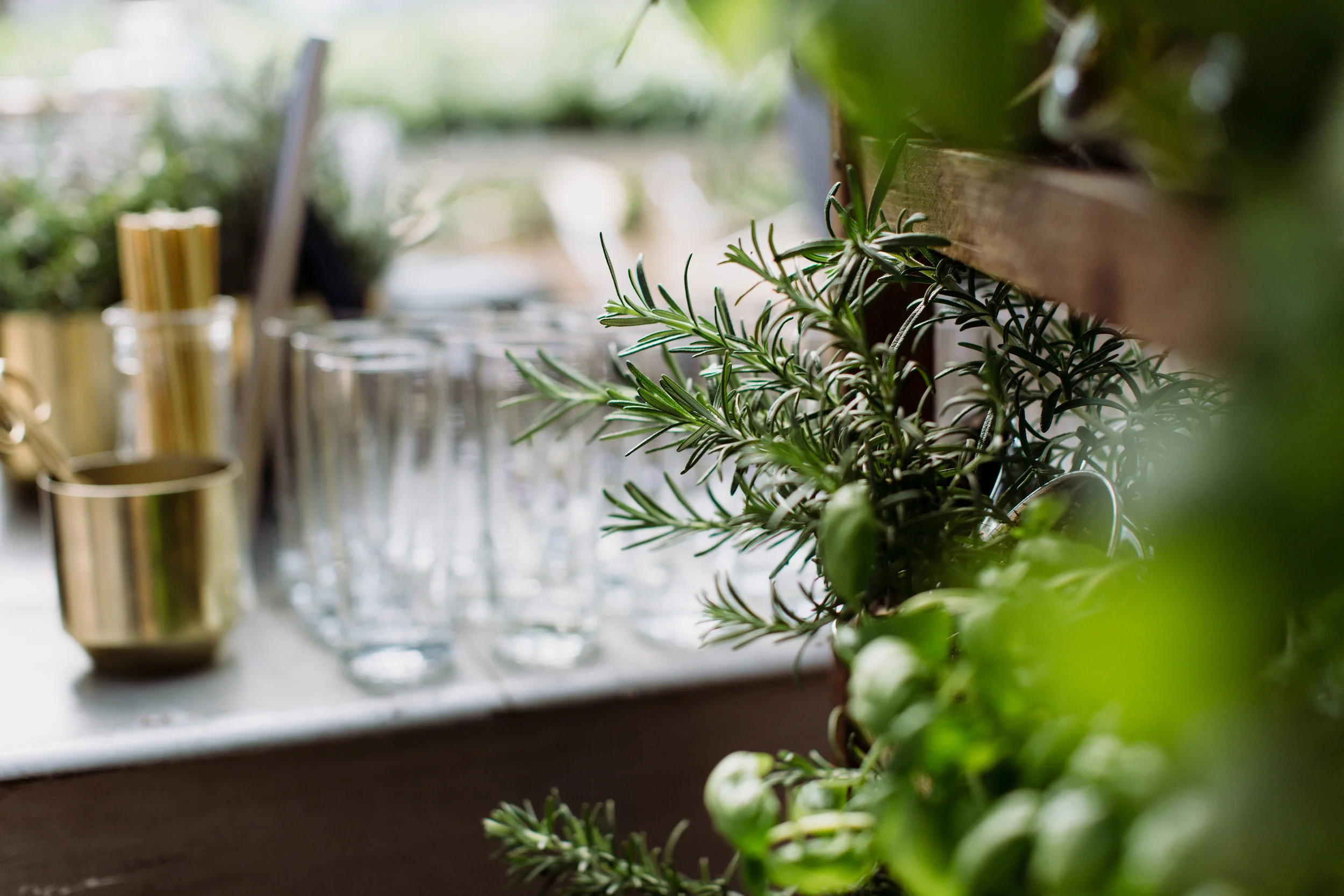 RollingGreens_ALL_11-3_0082.jpg