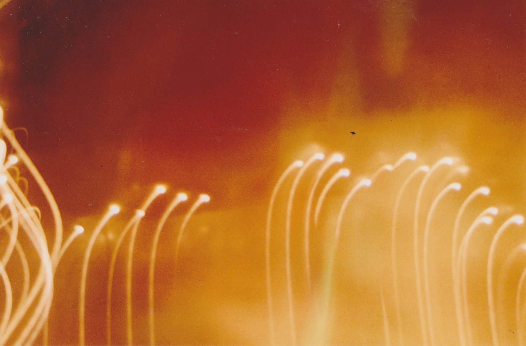 Scan 24.jpeg