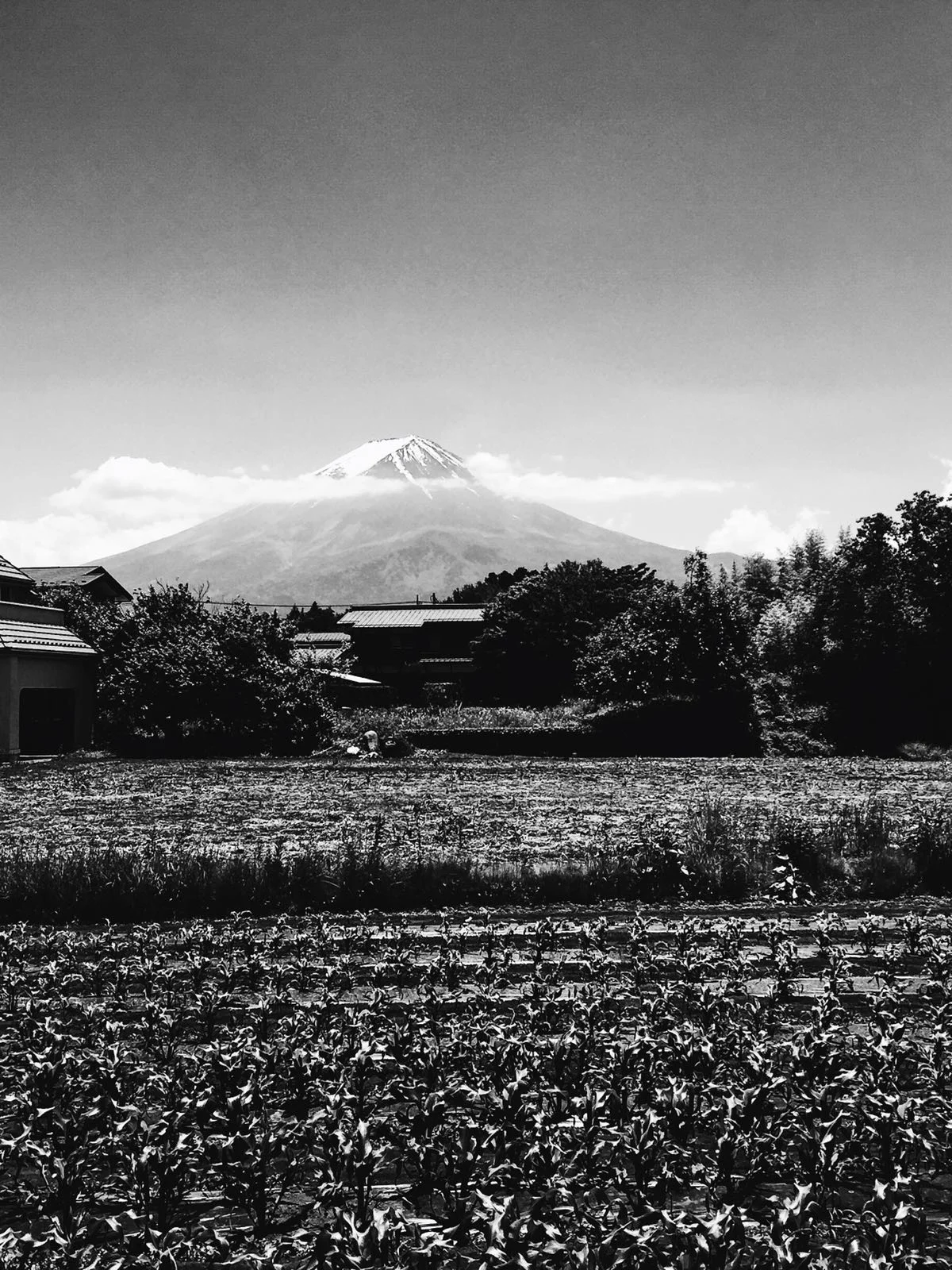 Fuji-san, Kawaguchiko