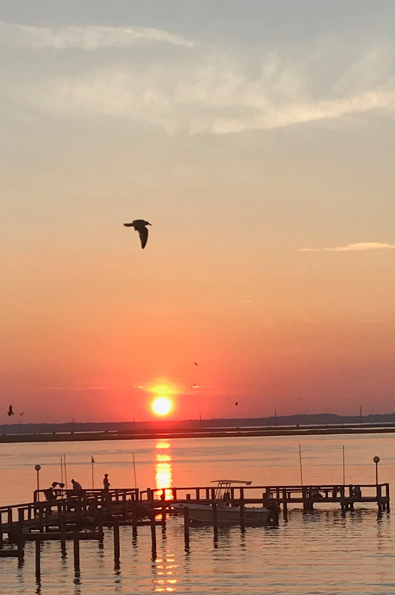 Sunset from deck of Farm to Bay