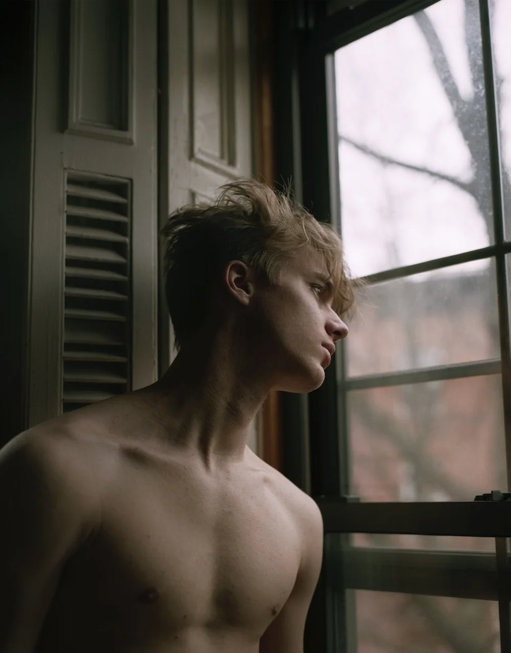 Raphael 2014