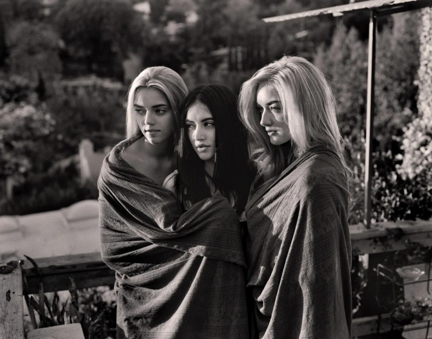 Pyper, Starlie and Daisy 2013