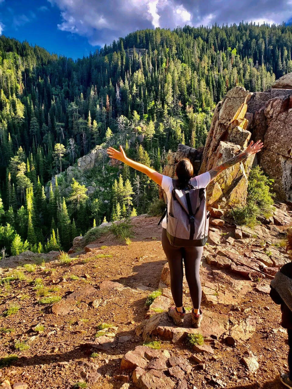 How getting a Guru changed the way I interacted in my Meditation Practice?