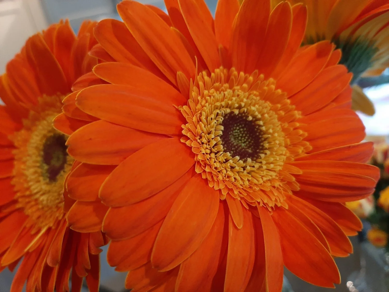 Theraexpressions June Moon Blog 