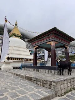 image10 (1).jpeg