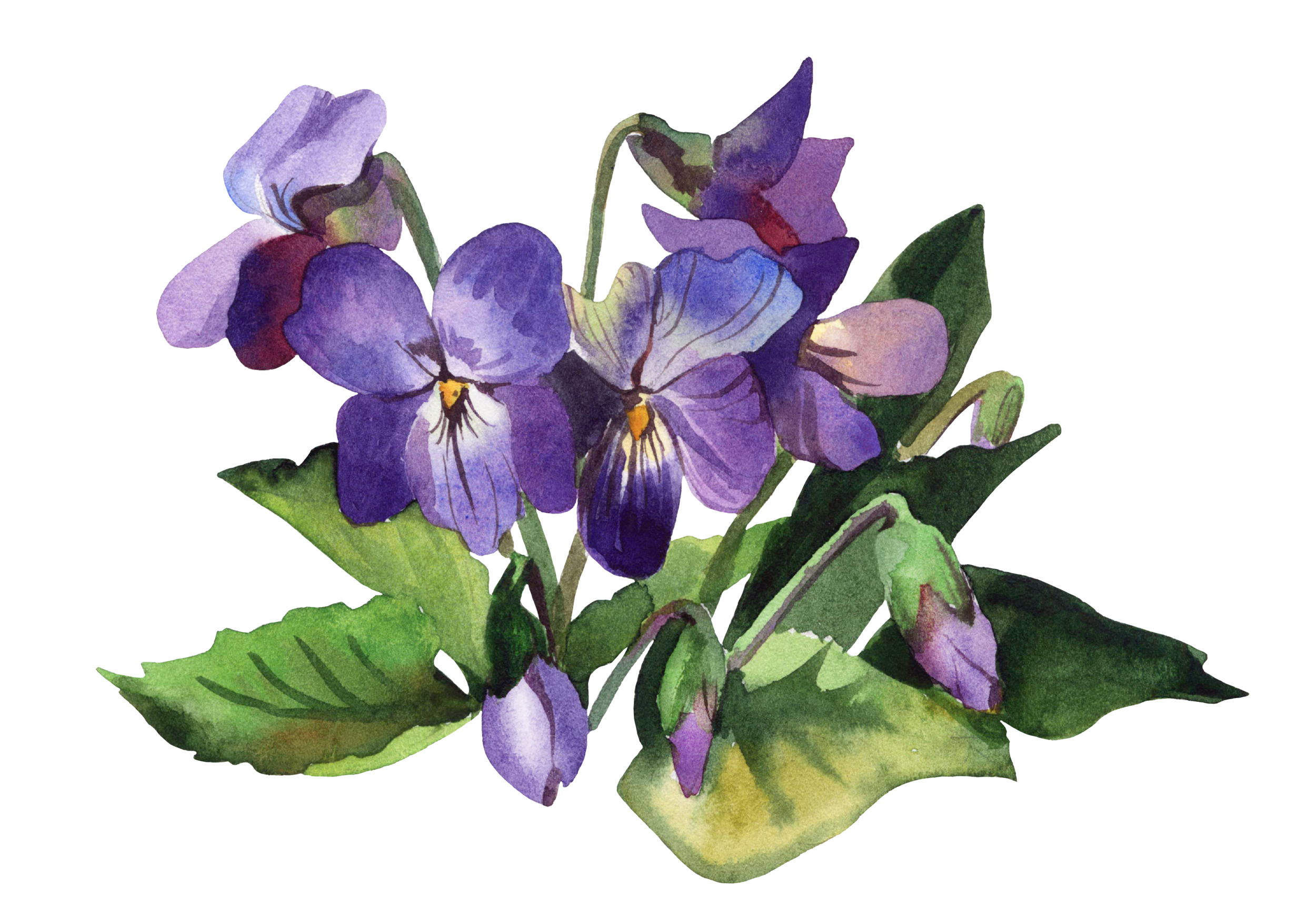 Integrated Lifestyle Solutions Regina