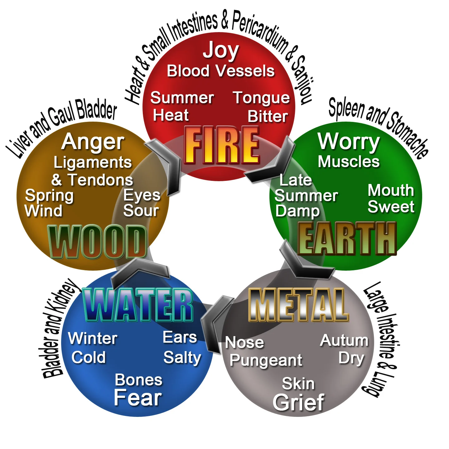 Which System Do YOU need to FEED?