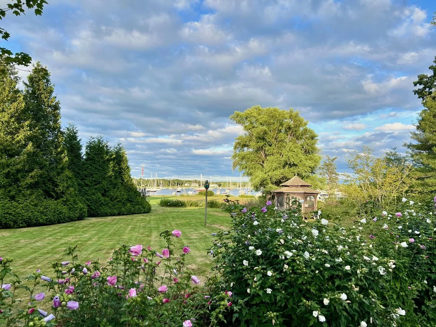 Beautiful evening walk tonight. I know I’ll be complaining about the cold soon but it’s refreshing to have a break from the heat. 
.
.
.
#sippicanharbor #marionma #waterst #august #southcoast #roseofsharon