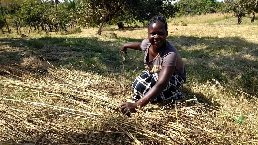 Knight tying grass bundles.jpg